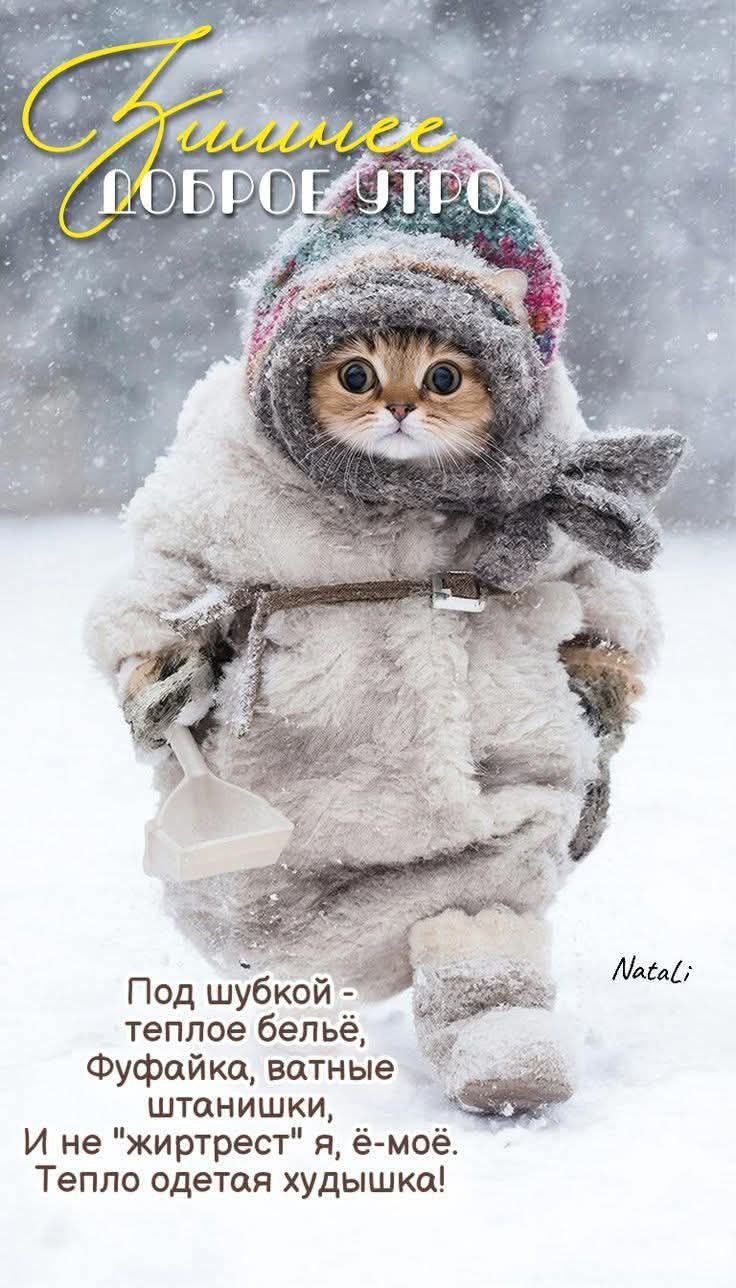 Под шубкой - тёплое бельё, Фуфайка, ватные штанышки, И не жиррет я, ё-мой. Тепло одета худышка!