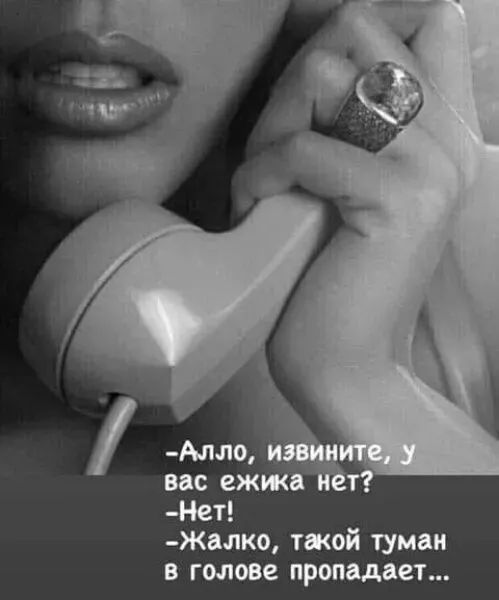 -Алло, извините, у вас ежика нет? -Нет! -Жалко, такой туман в голове пропадает...