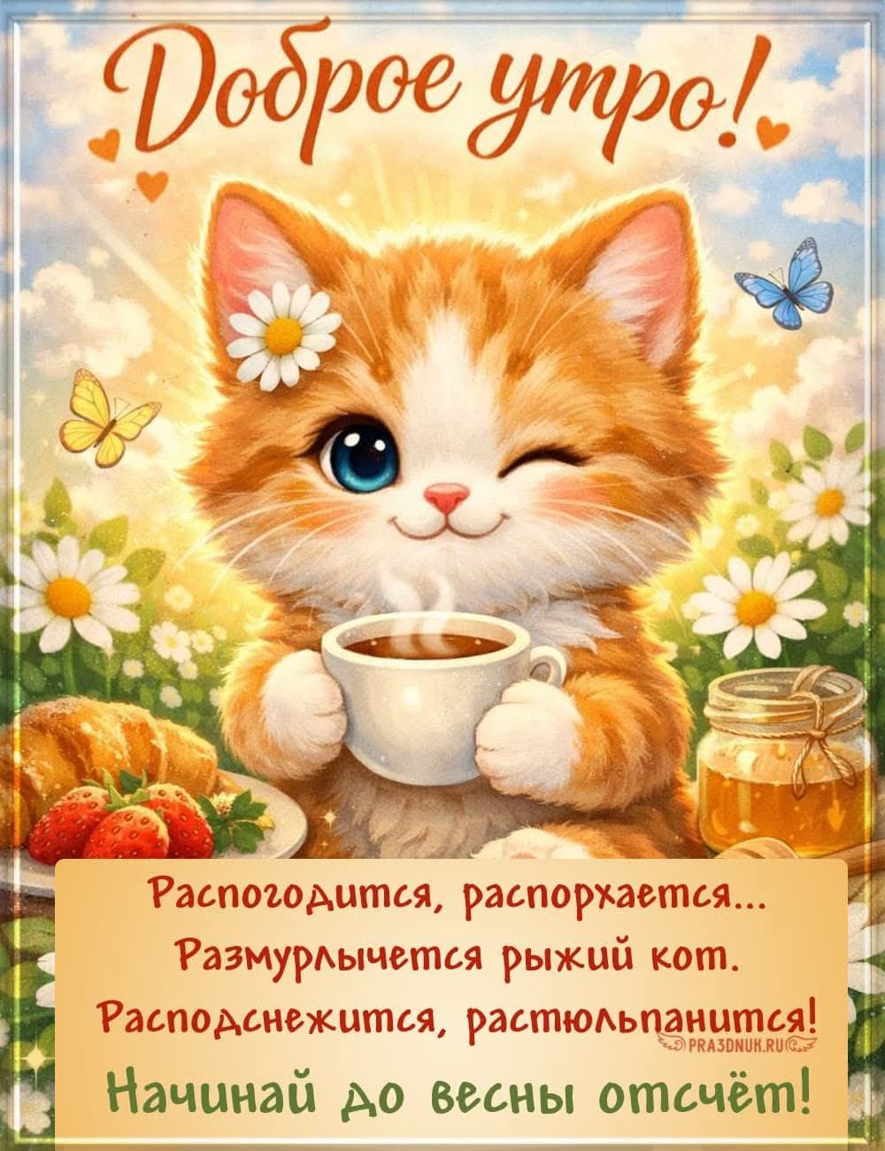 Доброе утро! Расположится, распрaхается... Размурчимся рыжий кот. Распоспнется, растольпанится! Начинай до весны отсчёт!