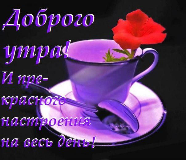 Доброго П22717