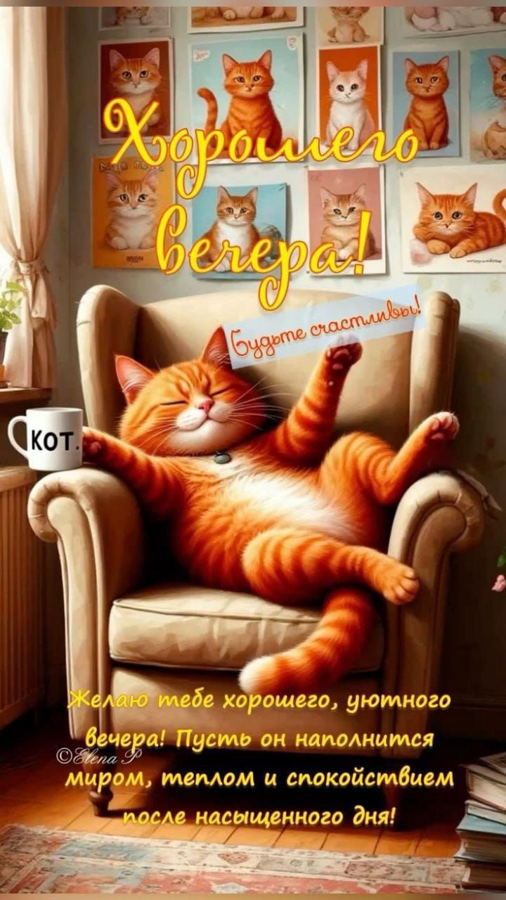 Хорошего вечера! Будьте счастливы! Желаю тебе хорошего, уютного вечера! Пусть он наполнится миром, теплом и спокойствием после насыщенного дня!