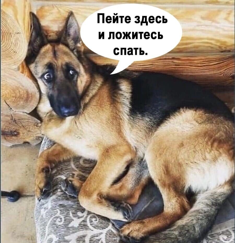 Пейте здесь и ложитесь спать.