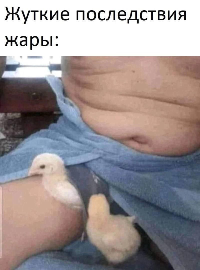 Жуткие последствия жары: