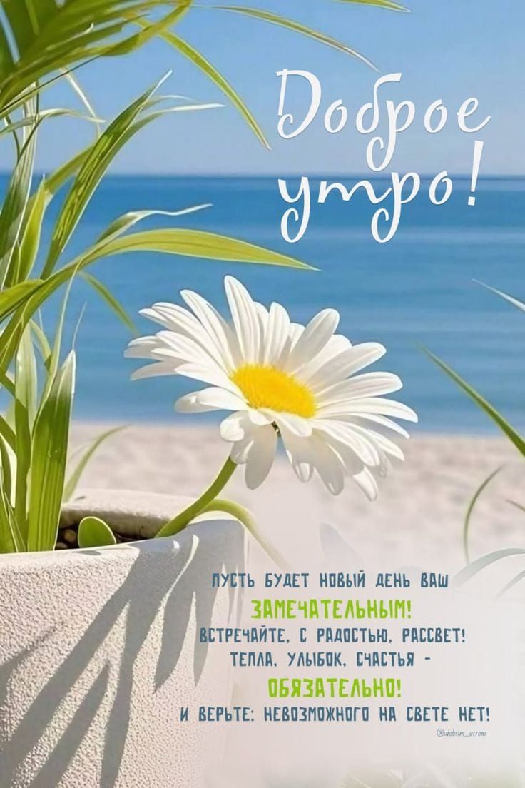 Доброе утро! Пусть будет новый день ваш замечательным! Встречайте: с радостью, расцвет! Тепла, улыбок, счастья - обязательно! И верьте: невозможного на свете нет!