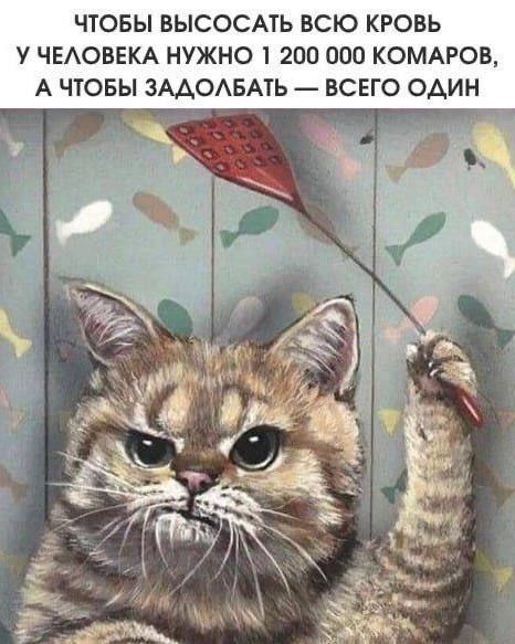 ЧТОБЫ ВЫСОСАТЬ ВСЮ КРОВЬ У ЧЕЛОВЕКА НУЖНО 1 200 000 КОМАРОВ, А ЧТОБЫ ЗАДОЛБАТЬ — ВСЕГО ОДИН