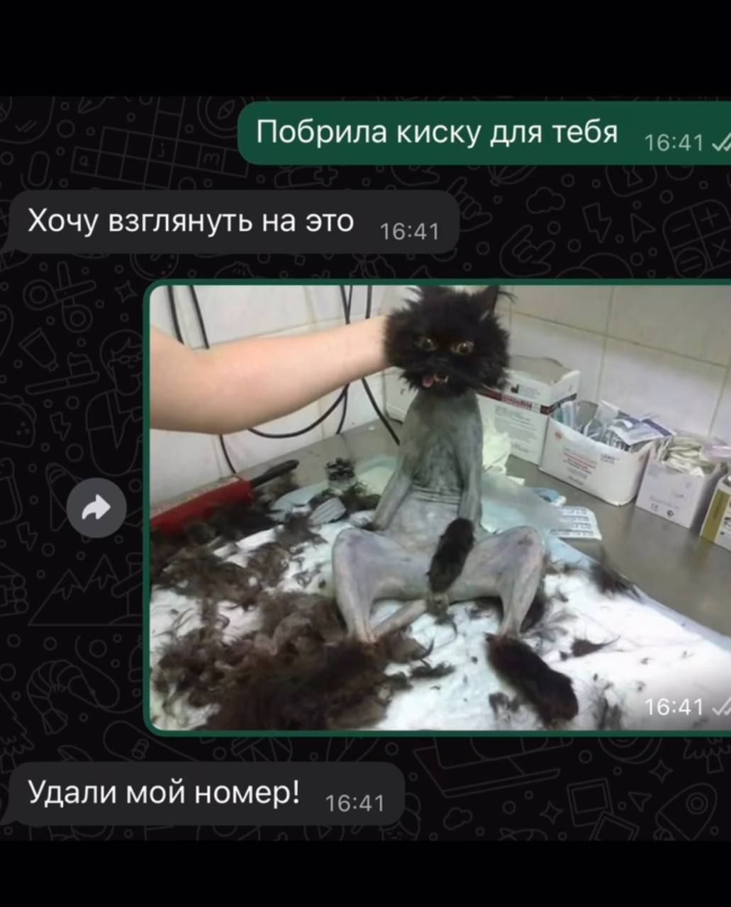 Побрила киску для тебя
Хочу взглянуть на это
Удали мой номер!