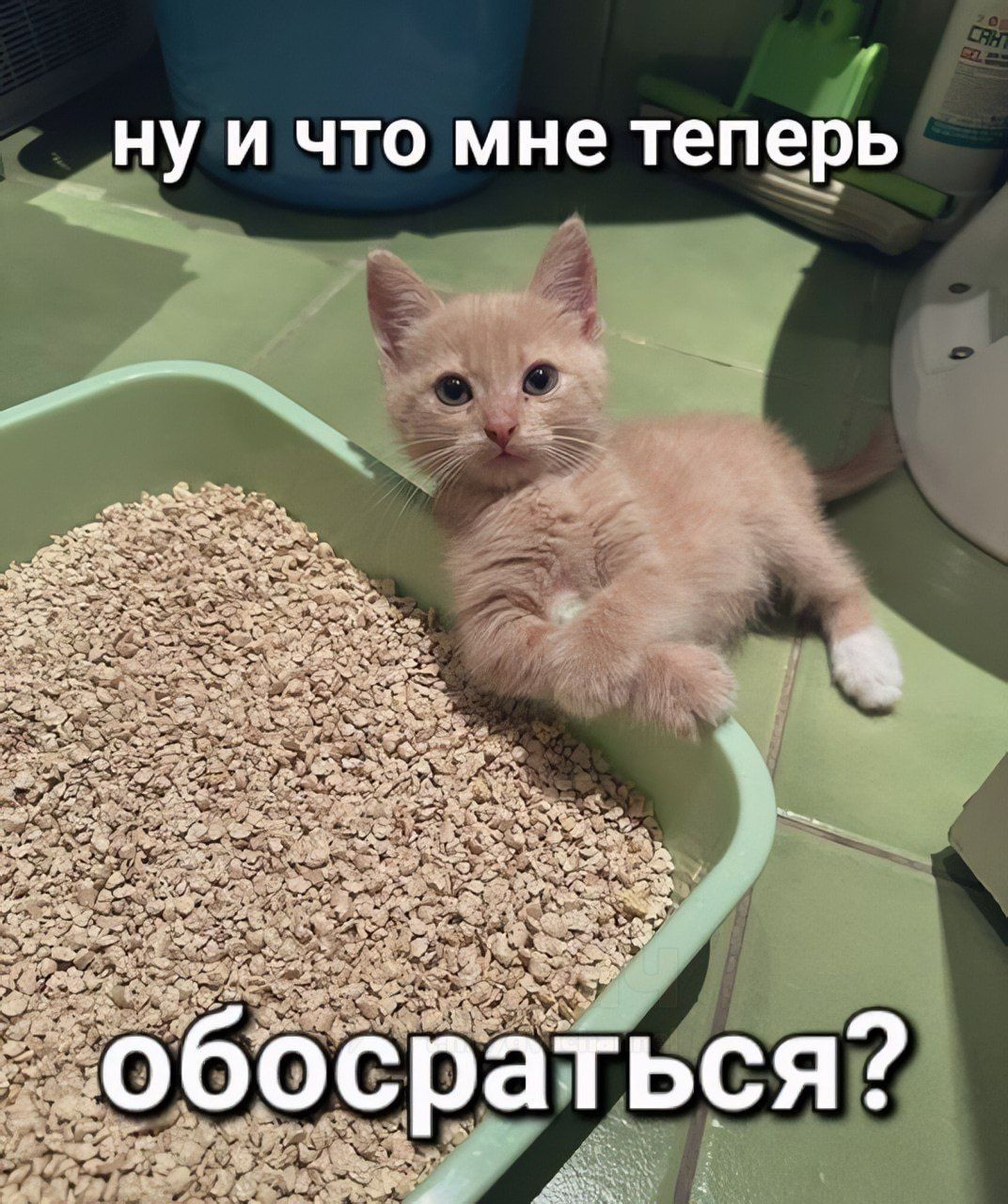 ну и что мне теперь обосраться?