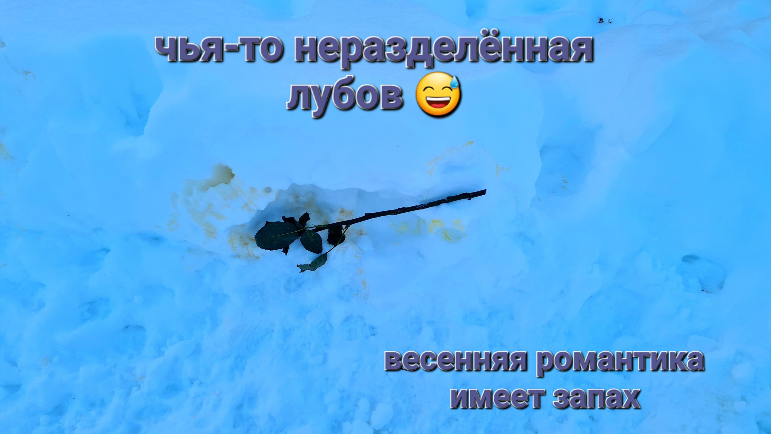 чья-то непазделённая лубов 😂 весенняя романтика имеет запах