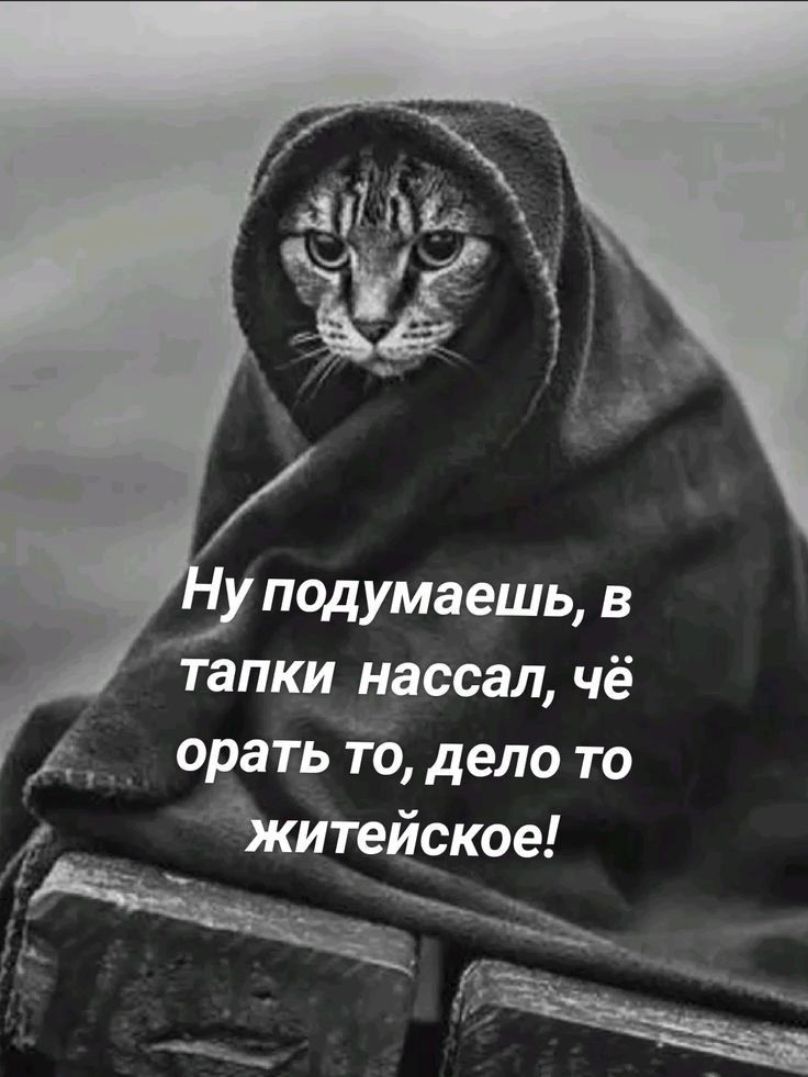 Ну подумаешь, в тапки нассал, чё орать то, дело то житейское!