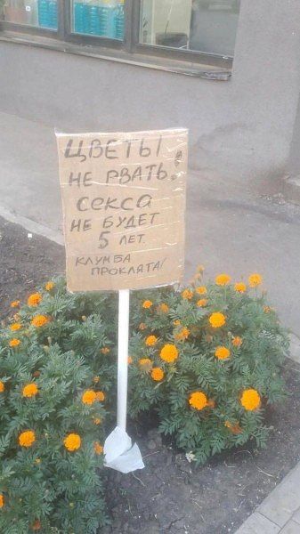 ЦВЕТЫ! НЕ РВАТЬ! СЕКСА НЕ БУДЕТ 5 ЛЕТ. КЛУБНИКА ПРОКЛЯТА!