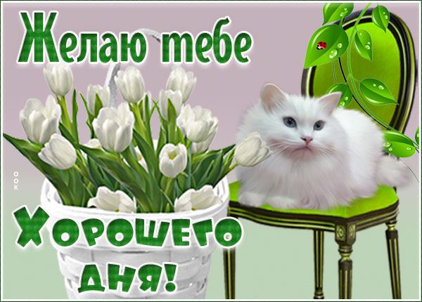 Желаю тебе Хорошего дня!