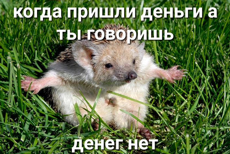 когда пришли денЬги ё