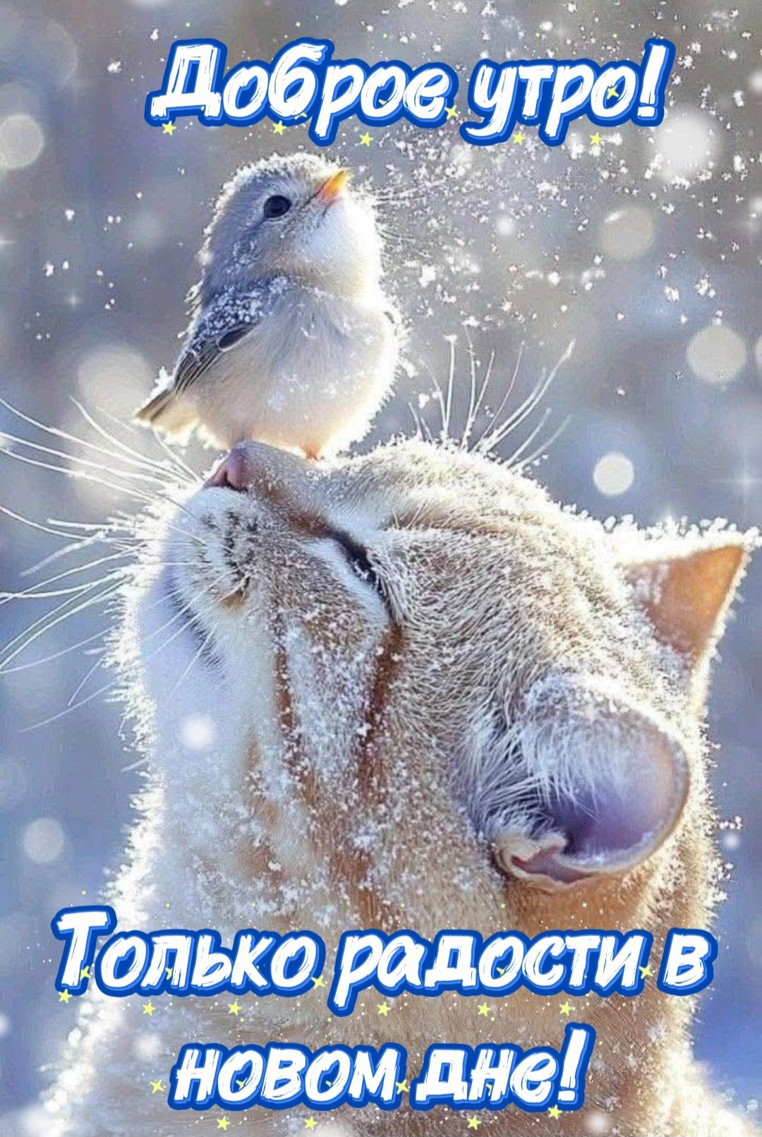 Доброе утро! Только радости в новом дне!