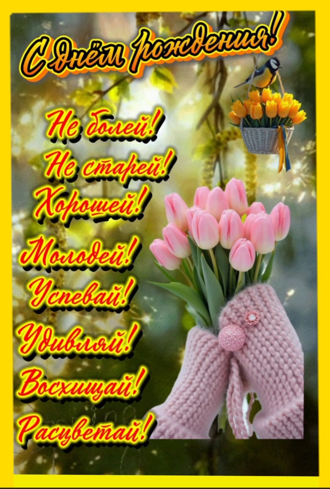 С Днём рождения! Не болей! Не старей! Хорошей! Молодей! Успевай! Удивляй! Восхищай! Расцветай!