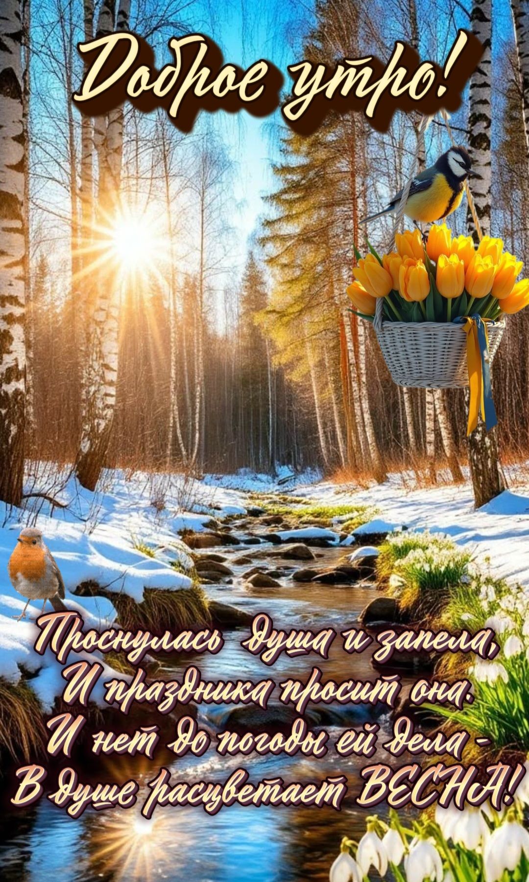 Доброе утро! Проснулась душа и запела, и праздник просит она. И нет до погоды ей дела — в душе расцветает весна!