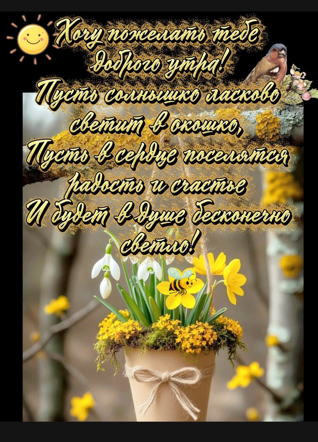 Хочу пожелать тебе доброго утра! Пусть солнышко ласково светит в окошко, Пусть в сердце поселятся радость и счастье И будет в душе бесконечно светло!