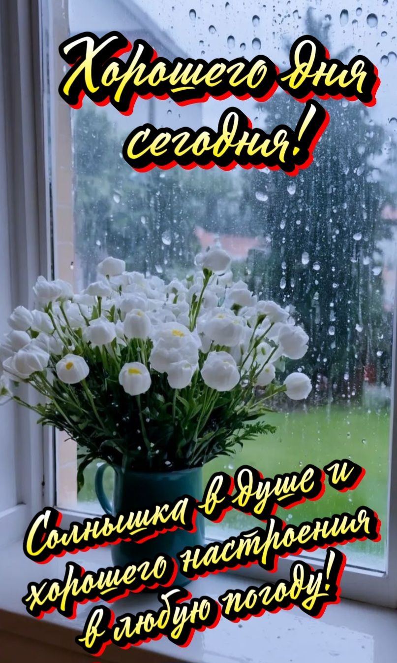 Хорошего дня сегодня! Солнышка в душе и хорошего настроения в любую погоду!