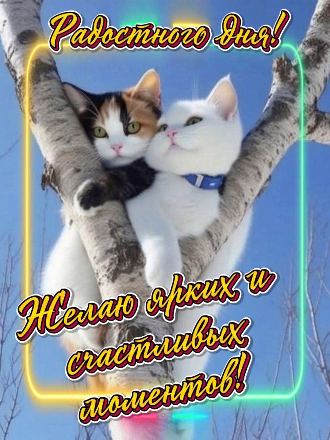 Радостного Дня! Желаю ярких и счастливых моментов!