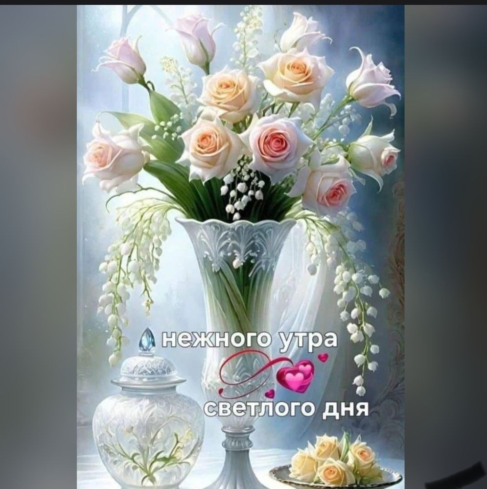 нежного утра светлого дня