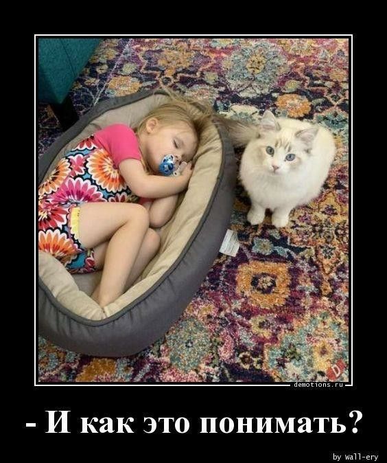 - И как это понимать?