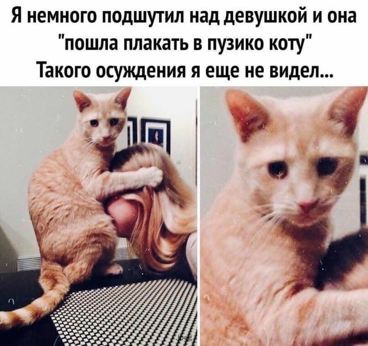 Я немного подшутил над девушкой и она 