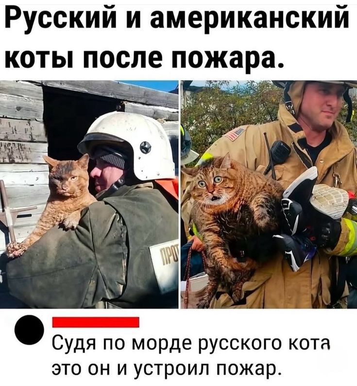 Русский и американский коты после пожара.
Судя по морде русского кота это он и устроил пожар.