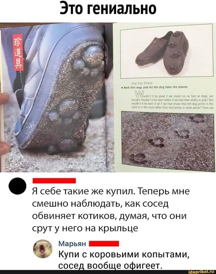 Это гениально
Я себе такие же купил. Теперь мне смешно наблюдать, как сосед обвиняет котиков, думая, что они срют у него на крыше
Марьян
Купи с коровьими копытами, сосед вообще офигеет.