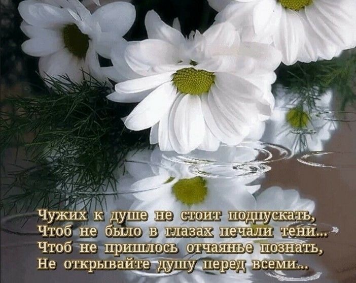 Чу КЙУЙ ща ч ЧТОЁАНЗ