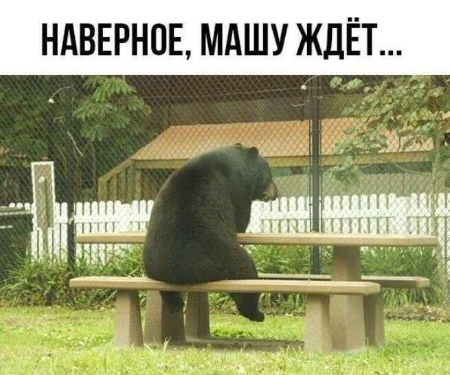 НАВЕРНОЕ МАШУ ЖДЁТ