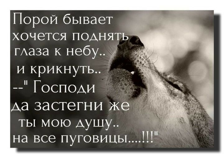 Порой бывает хочется поАнять маза к небу и и крикнуть Господи Аа ЗЭСТЭГНИ же ты мою душу на все пуговицы