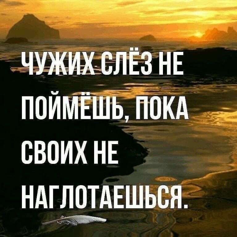 __ _ ЧУЖУЩВЛЕЗ НЕ ПОИМЕШЬ ПОКА СВОИХ НЕ НАГЛЦТАЕШЬСЯ