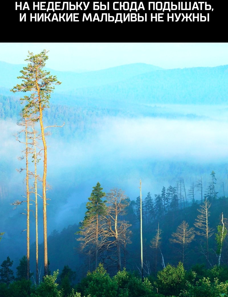 НА НЕДЕЛЬКУ БЫ СЮДА ПОДЫШАТЬ И НИКАКИЕ МАЛЬДИВЫ НЕ НУЖНЫ