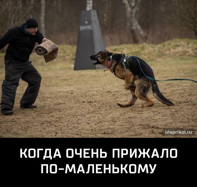 КОГДА ОЧЕНЬ ПРИЖАЛО ПО МАЛЕНЬКОМУ