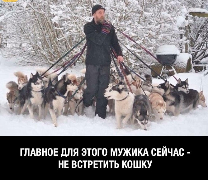 ГЛАВНОЕ дЛЯ ЭТОГО МУЖИКА СЕЙЧАС НЕ ВОТРЕТИТЬ КОШКУ