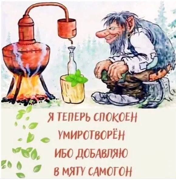 Я теперь спокоен умиротворён ибо добавляю в мяту самогон