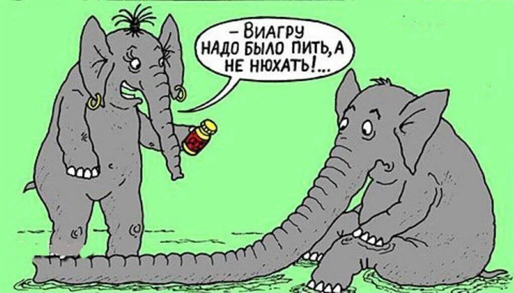 - Вигрeгу надо было пить, а не нюхать!...