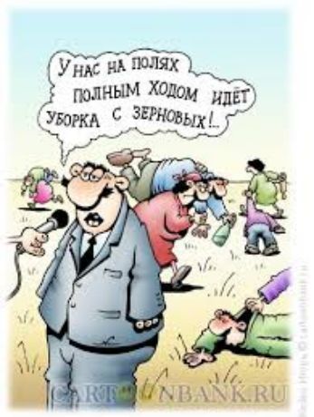 У нас на полях полным ходом идет уборка с зерновых!.