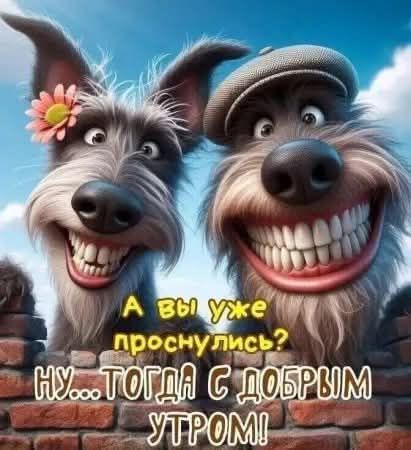 А вы уже проснулись? Ну... тогда с добрым утром!