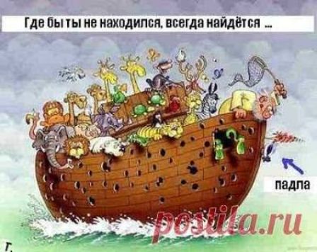 Где бы ты ни находился, всегда найдётся … падла