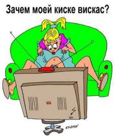 Зачем моей киске вискак?