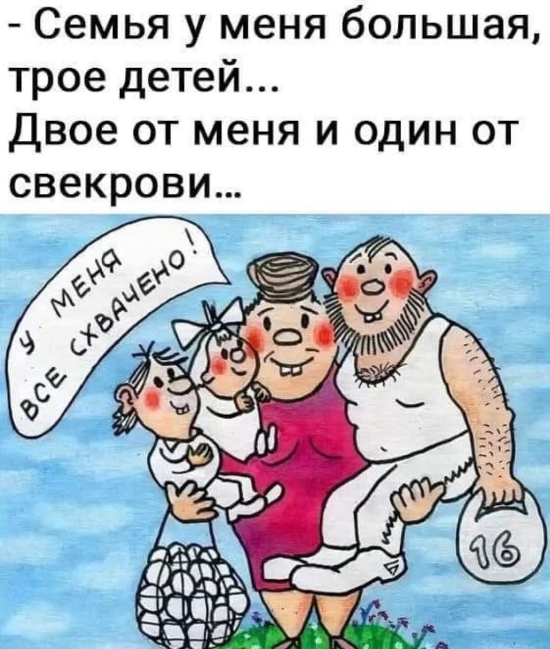 Семья у меня большая, трое детей... Двое от меня и один от свекрови... У меня все схвачено!