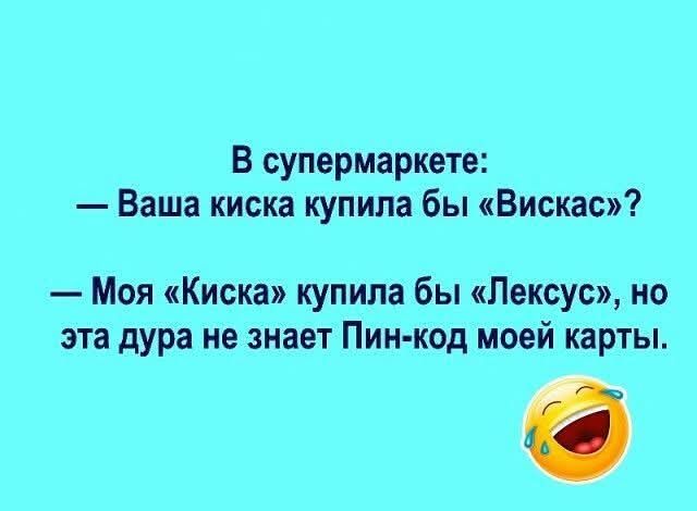 В супермаркете: — Ваша киска купила бы «Вискас»? — Моя «Киска» купила бы «Лексус», но эта дура не знает Пин-код моей карты.