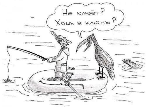 Не клюёт? Хоть я клюну?