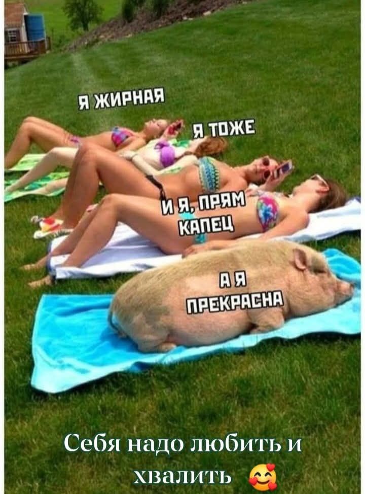 Я жирная
Я тоже
И я, прям, капец
А я прекрасна
Себя надо любить и хвалить