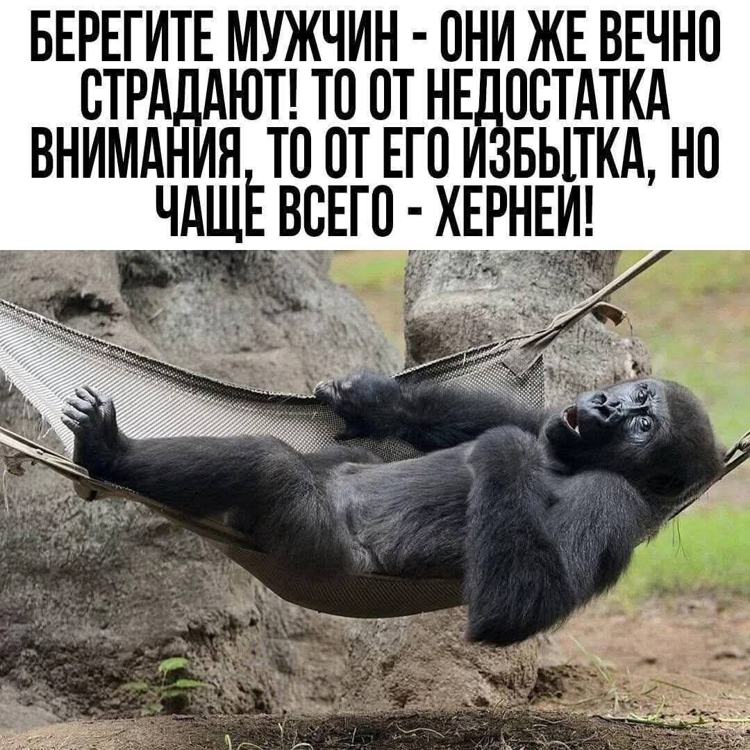 БЕРЕГИТЕ МУЖЧИН - ОНИ ЖЕ ВЕЧНО СТРАДАЮТ! ТО ОТ НЕДОСТАТКА ВНИМАНИЯ, ТО ОТ ЕГО ИЗБЫТКА, НО ЧАЩЕ ВСЕГО - ХЕРНЬ!