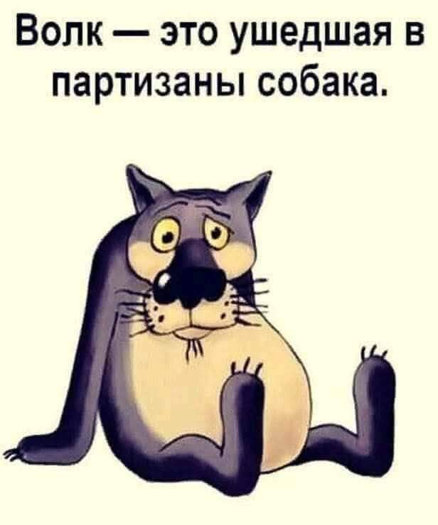 Волк — это ушедшая в партизаны собака.