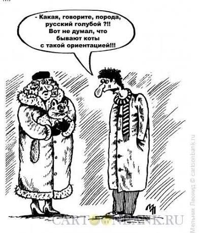 Какая, говорите, порода, русский голубой?! Вот не думал, что бывают коты с такой ориентацией!!!