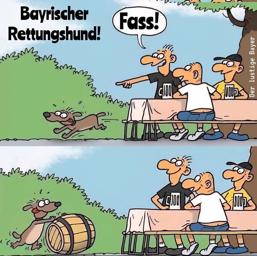 Bayrischer Rettungshund! Fass!