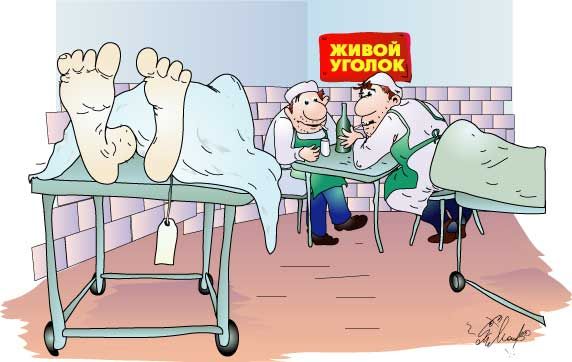 ЖИВОЙ УГОЛОК