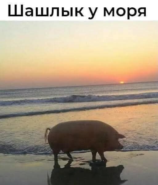 Шашлык у моря